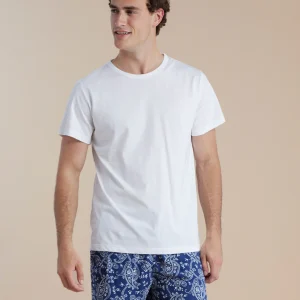 Rif.3093 Pigiama uomo top girocollo in cotone e pantalone corto in viscosa articolo cachemire