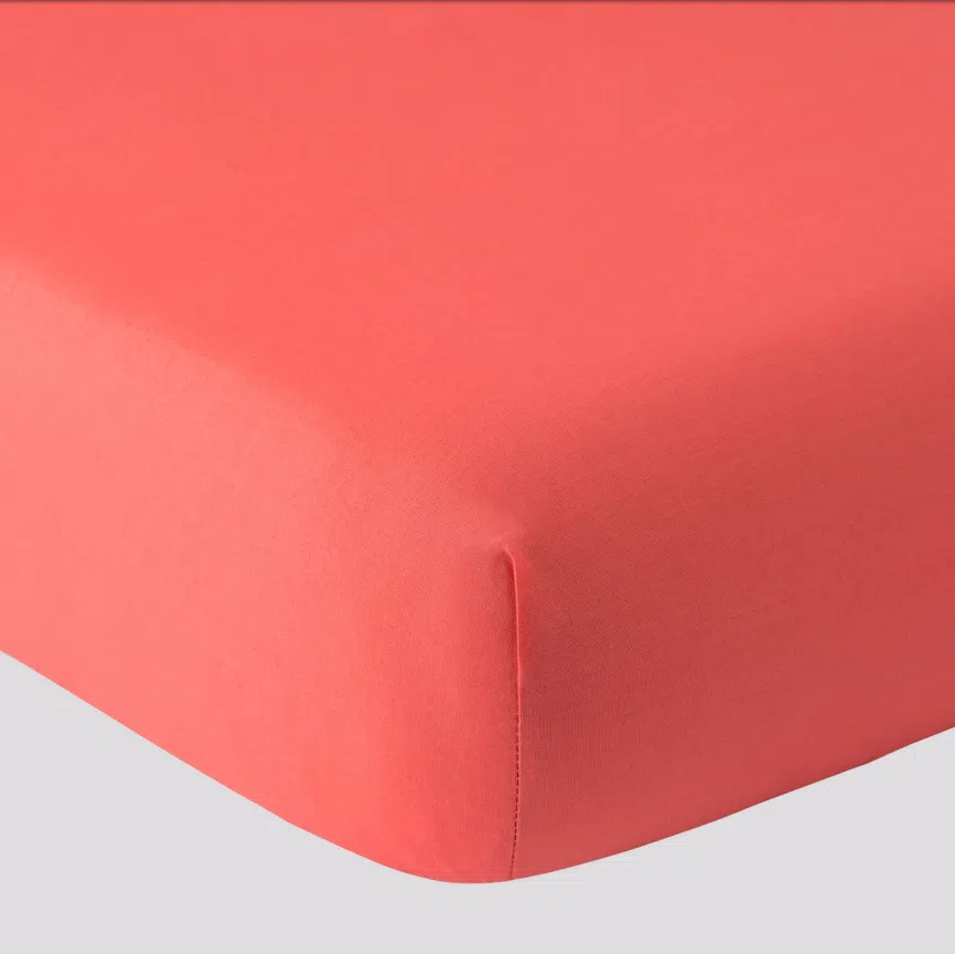 Paint Lenzuolo Sotto Con Angoli 1 Piazza e Mezza - immagine 3