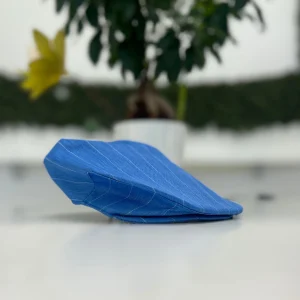 Luxury Cloth Cap 354